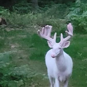 Meet your Posher, Colby